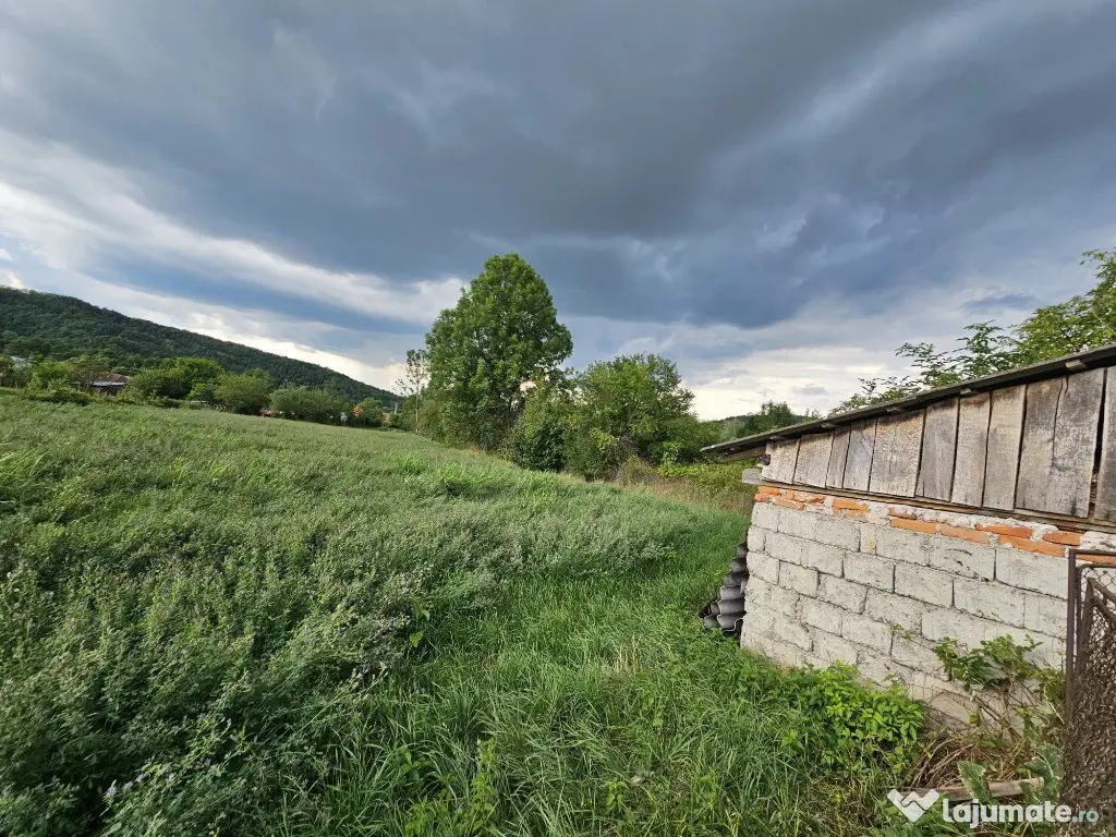 Casa si teren Birtin 