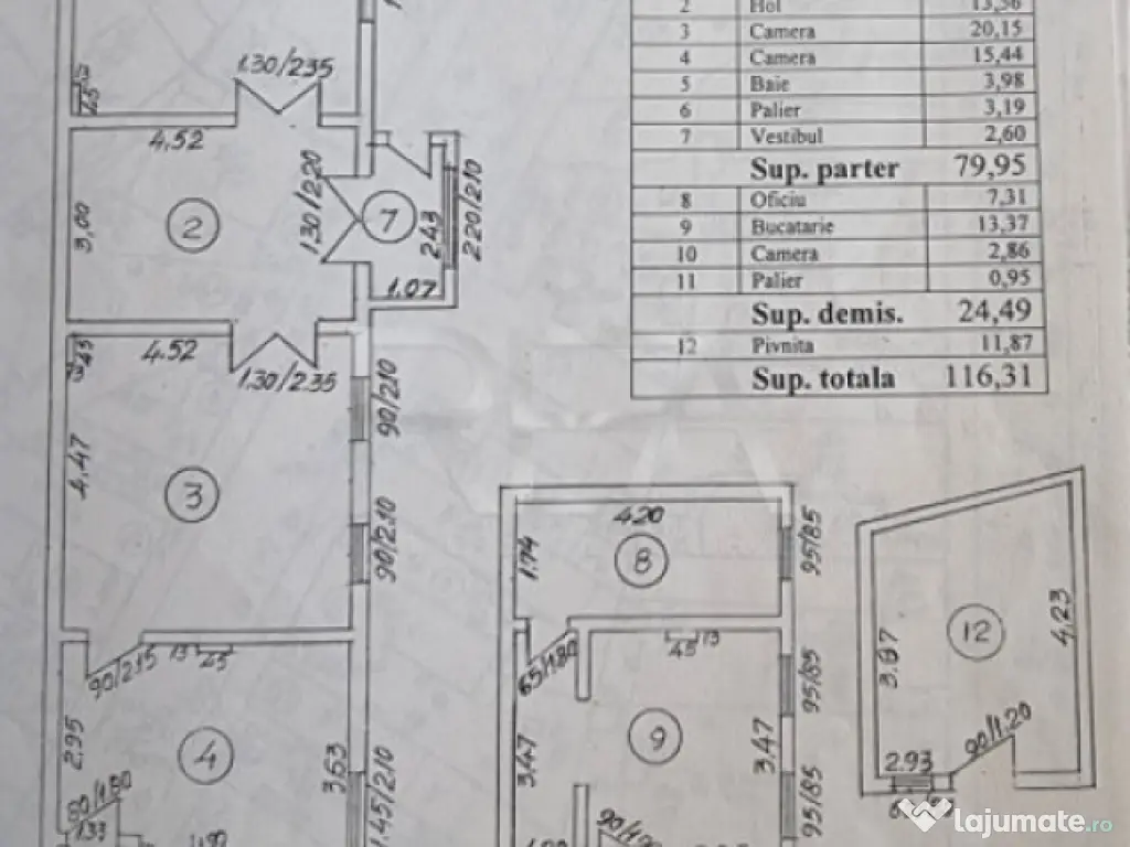 Casa cu 9 camere, Parcul Carol 