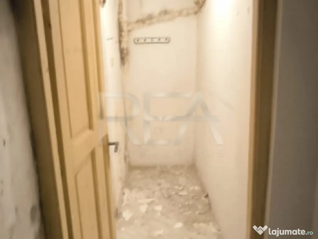 Casa cu 9 camere, Parcul Carol 