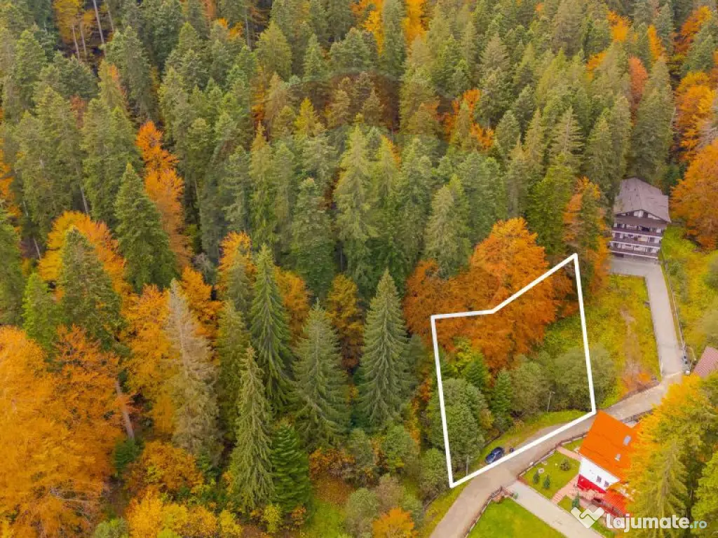 Comision 0 | Teren intravilan de vânzare – Predeal, Br... 