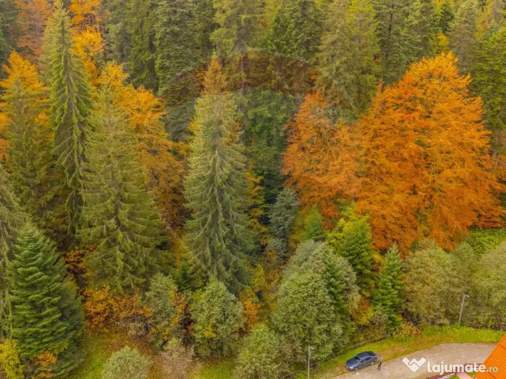 Comision 0 | Teren intravilan de vânzare – Predeal, Br... 