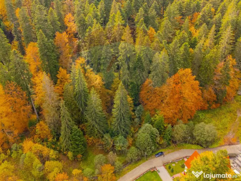 Comision 0 | Teren intravilan de vânzare – Predeal, Br... 