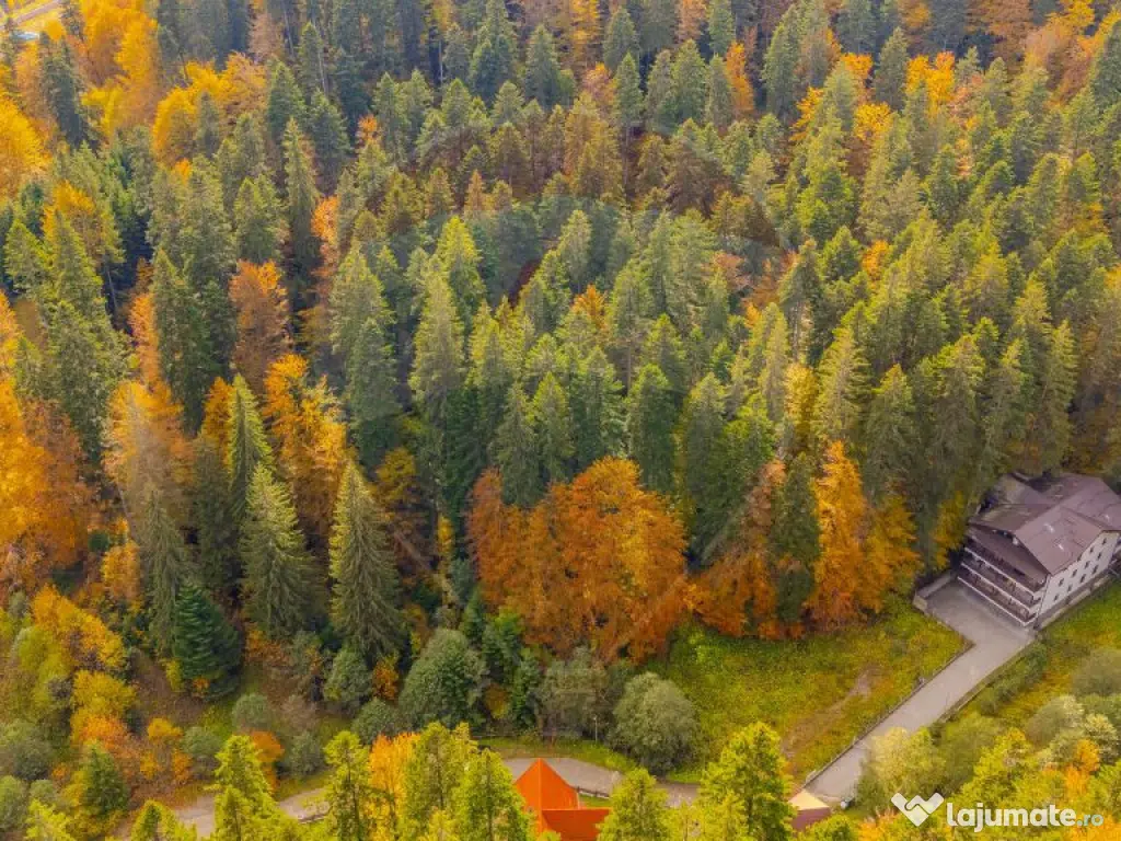 Comision 0 | Teren intravilan de vânzare – Predeal, Br... 