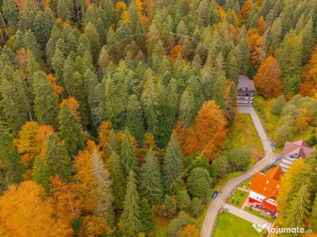 Comision 0 | Teren intravilan de vânzare – Predeal, Br... 