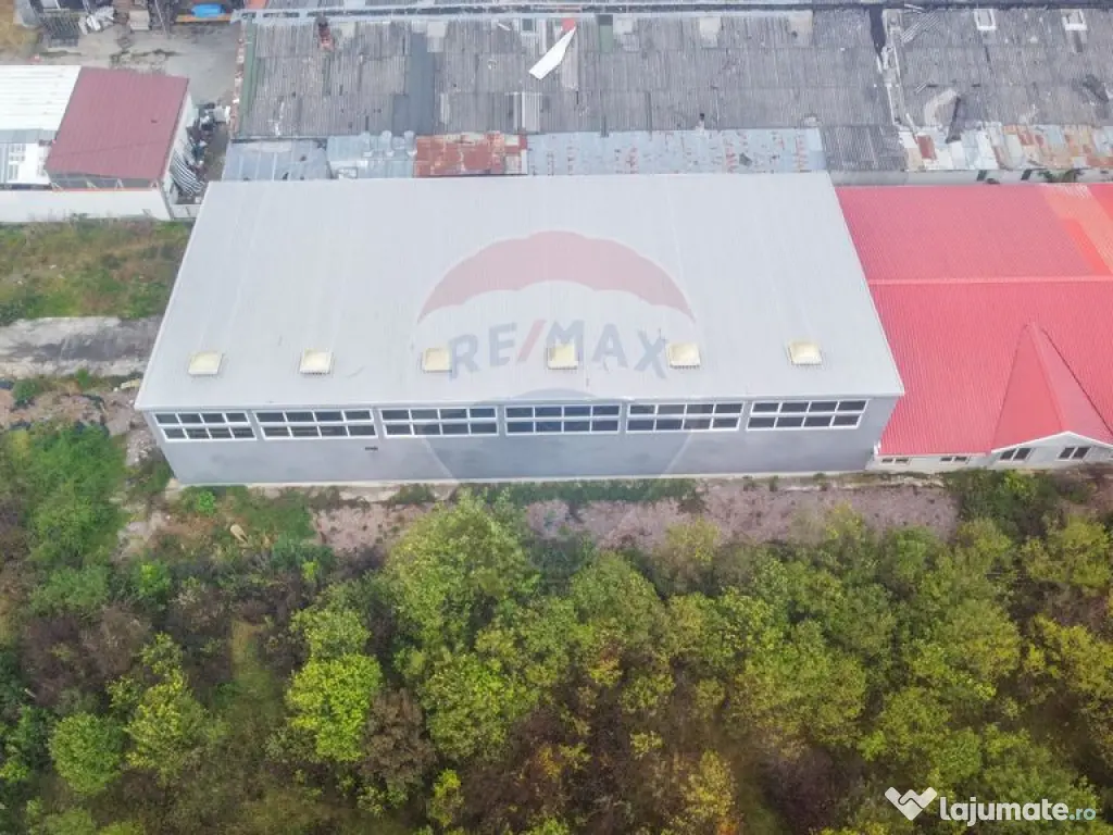 De vanzare – Hala industriala in Luna de Sus, Cluj 