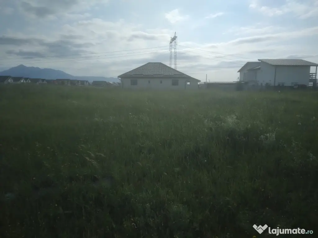 Teren Izvor-Tărlungeni