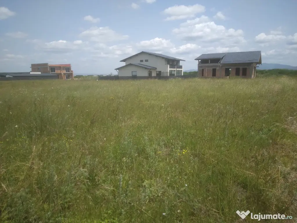 Teren Izvor-Tărlungeni