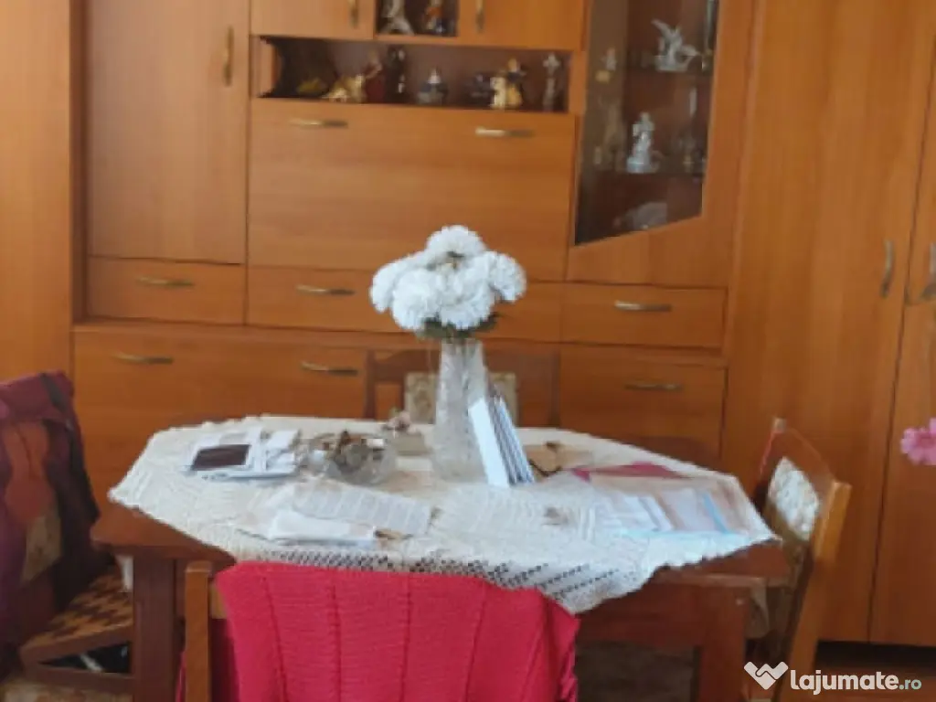 Casa unifamiliala de vanzare zona linistita Sighet