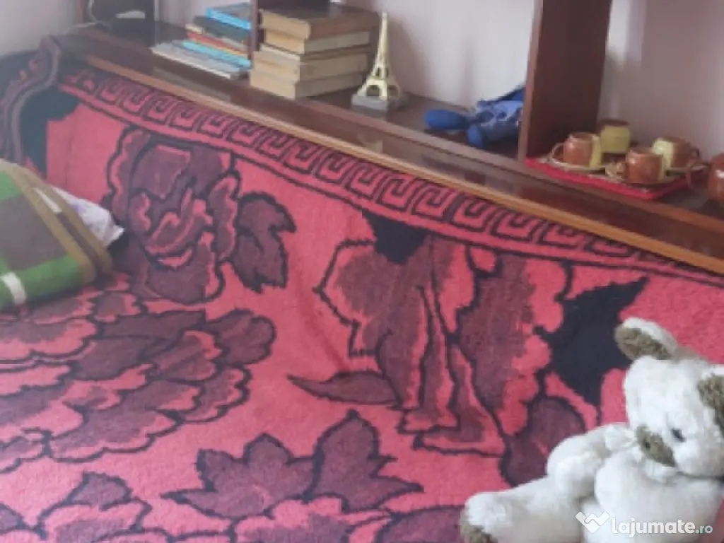 Casa unifamiliala de vanzare zona linistita Sighet