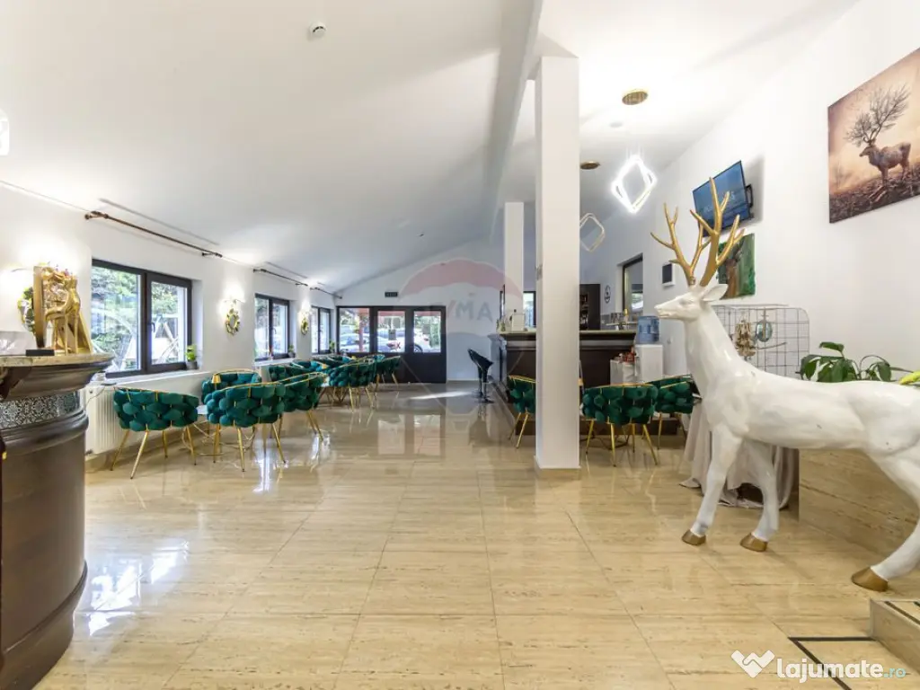 HOTEL "CERBUL CHALET" de vânzare/ zona Râsnov-Pârâul ...