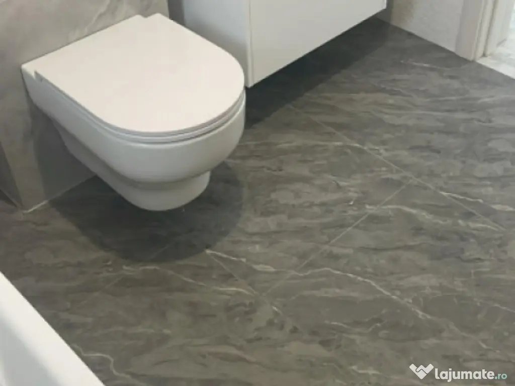 Casă modernă la cheie în Cărpiniș – tot confortul pe 