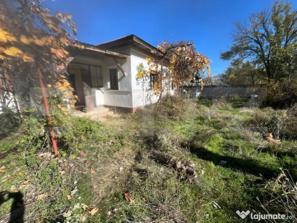 Casă tradițională cu teren 4.500 mp și anexe gospodăre? 