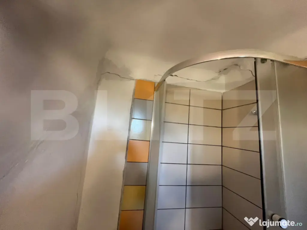 Casă tradițională cu teren 4.500 mp și anexe gospodăre? 