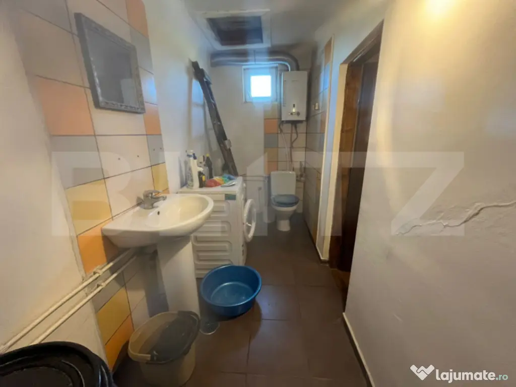 Casă tradițională cu teren 4.500 mp și anexe gospodăre? 