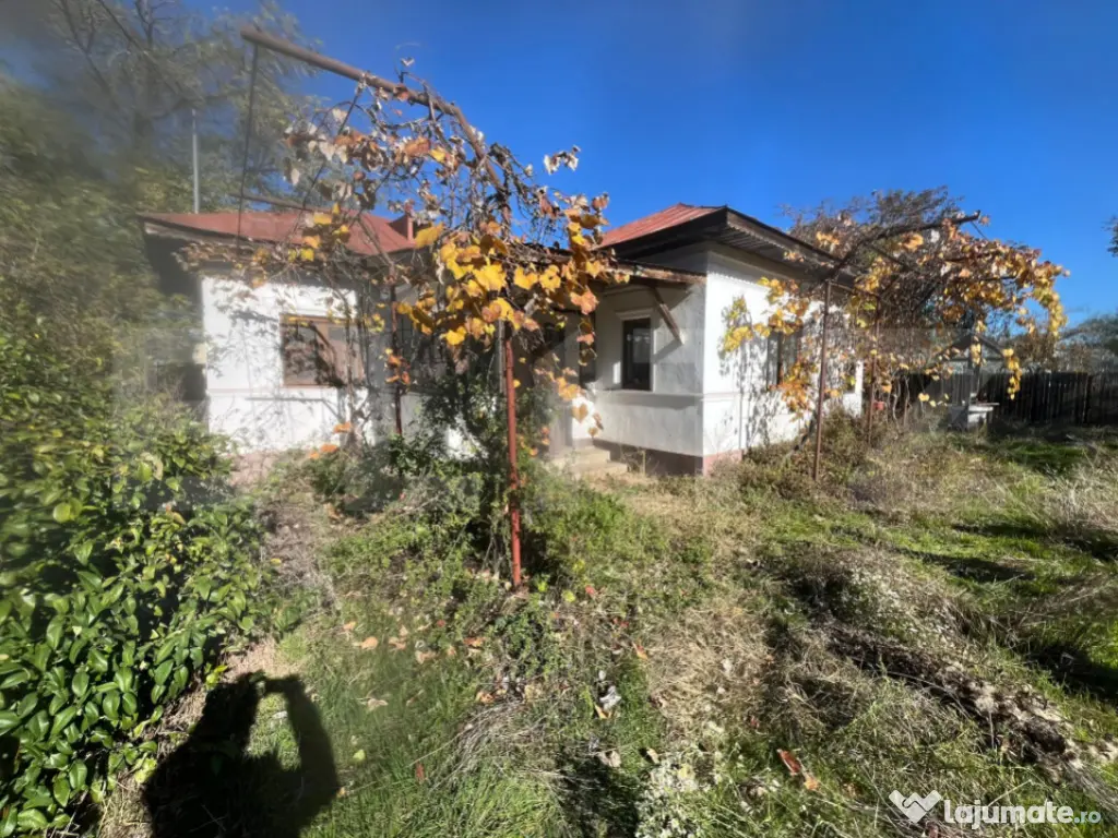 Casă tradițională cu teren 4.500 mp și anexe gospodăre? 