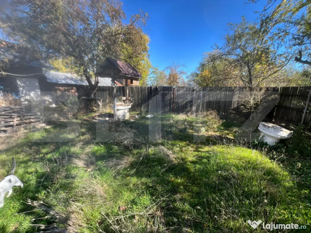 Casă tradițională cu teren 4.500 mp și anexe gospodăre? 