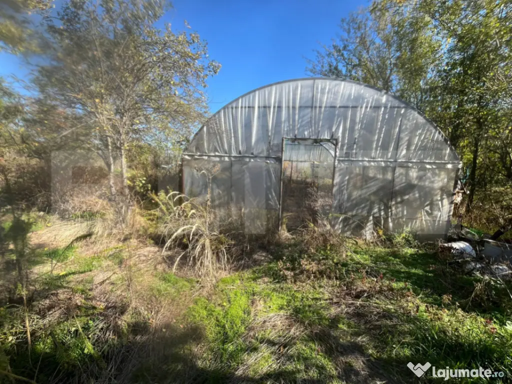 Casă tradițională cu teren 4.500 mp și anexe gospodăre? 