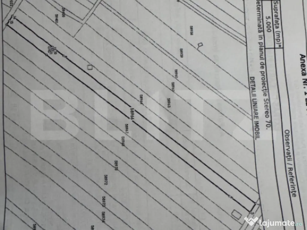 Teren 5000 mp, deschidere 13 ml, Bals