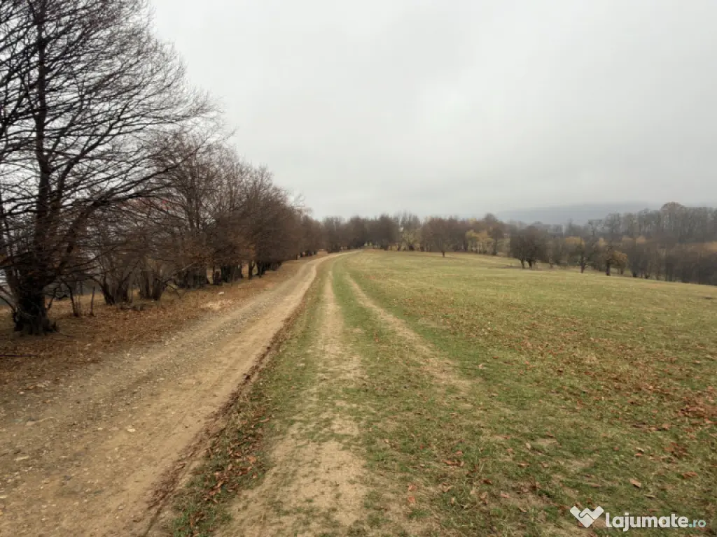 Teren spectaculos 3,5HA zona Cisnadioara