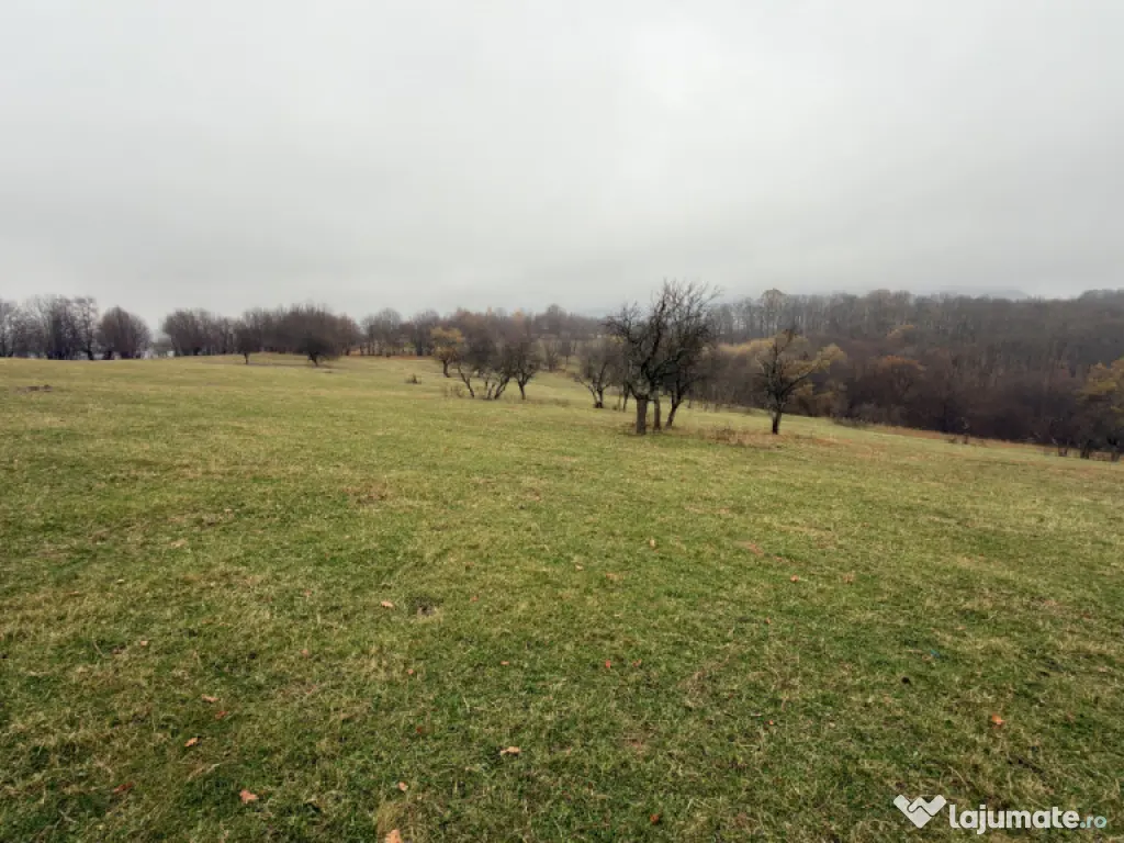 Teren spectaculos 3,5HA zona Cisnadioara