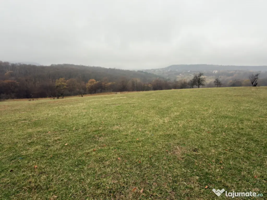 Teren spectaculos 3,5HA zona Cisnadioara