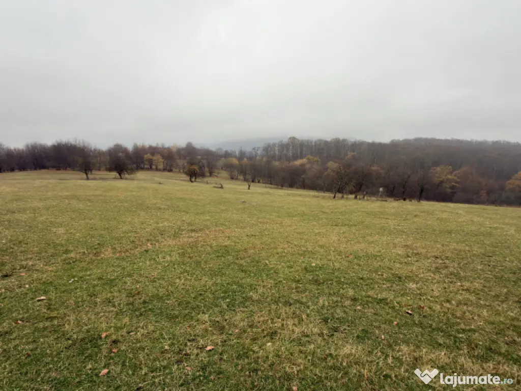 Teren spectaculos 3,5HA zona Cisnadioara