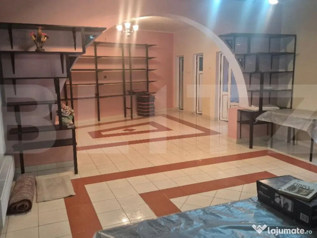 Casa 4 nivele + mansarda, 650 mp, zona Lucian Blaga