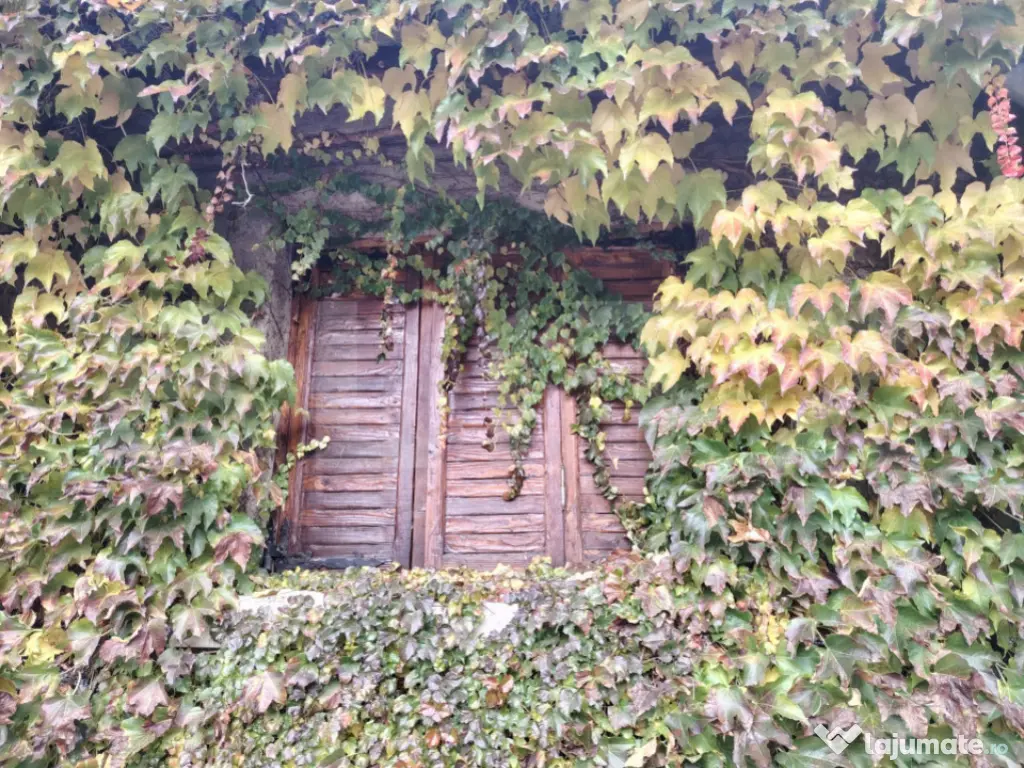 Proprietate in zona Parcului N Romanescu, casa batraneasca s