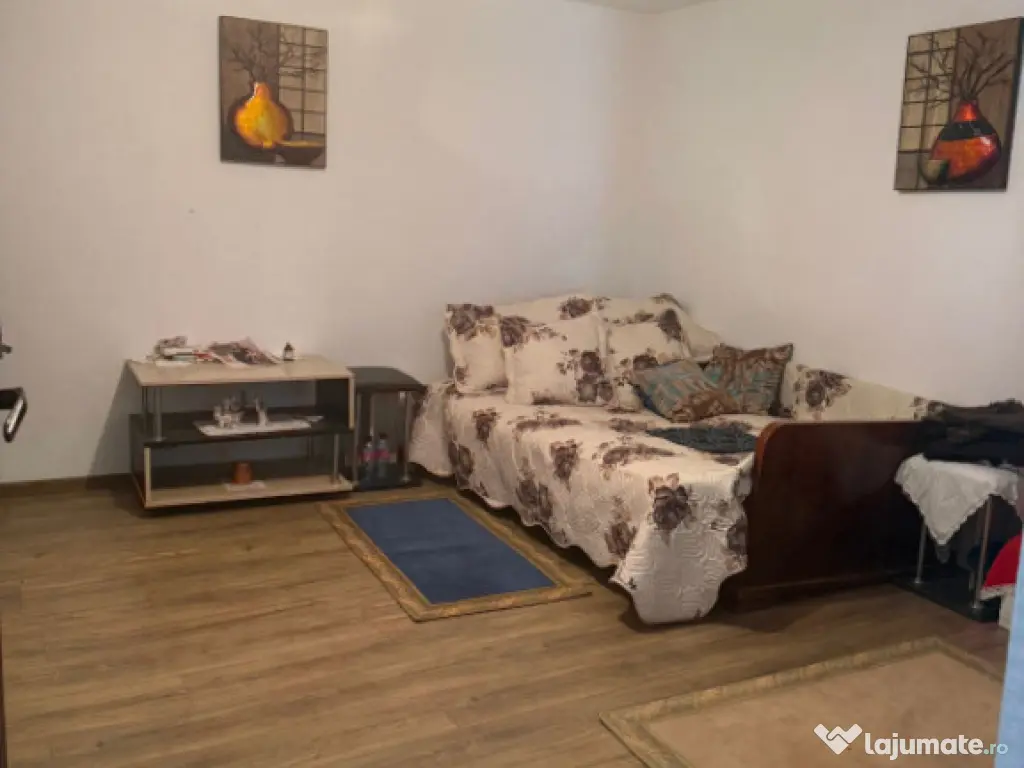 OCAZIE Casa 133 mp utili, 3300 mp teren, Ciutura Comision ZE