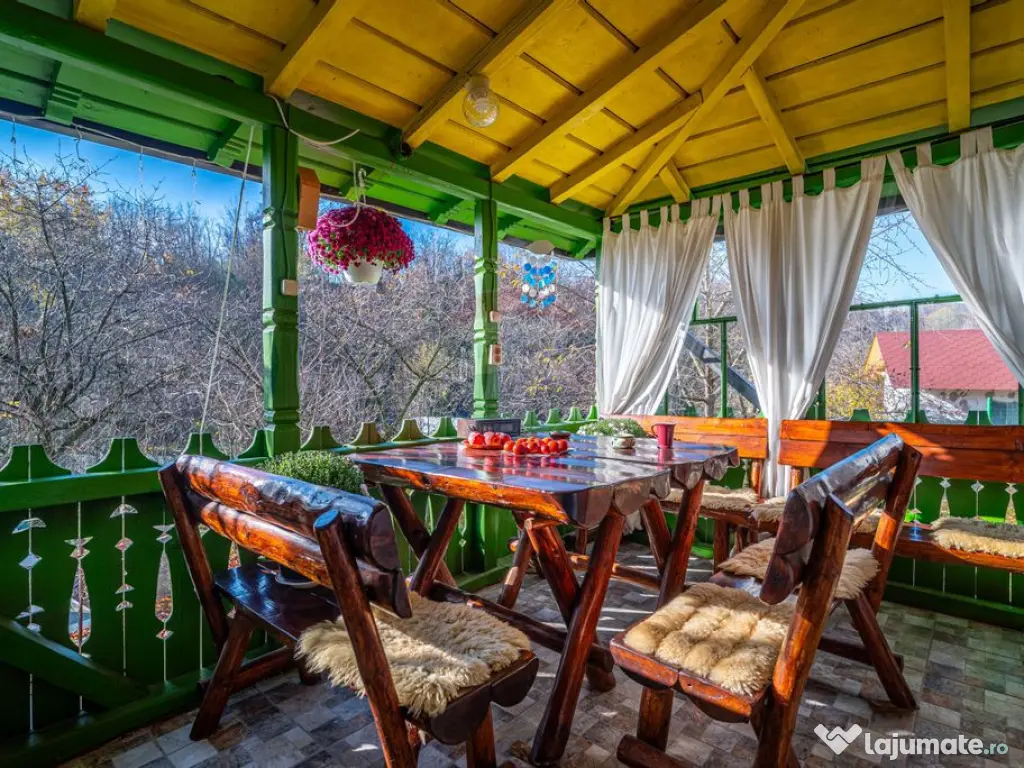 Casă 5 camere + demisol, teren 1560 mp / Filipestii de P...