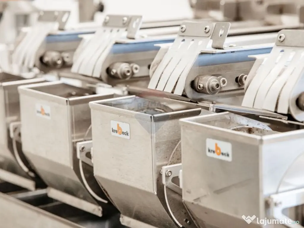 Plantatie de afine la cele mai inalte standarde, de vanzare! 