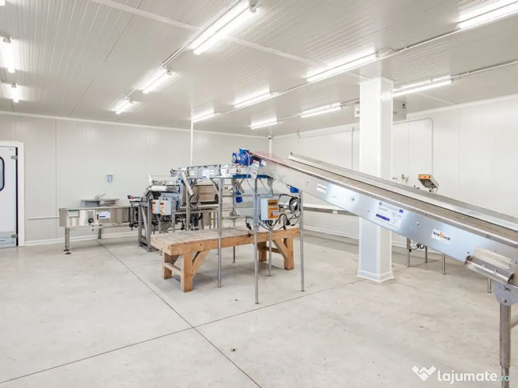 Plantatie de afine la cele mai inalte standarde, de vanzare! 