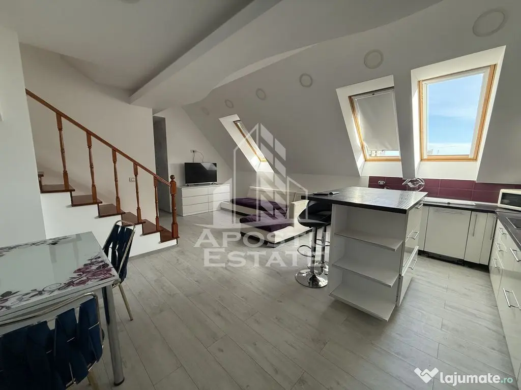 Apartament 4 camere cu etaj, AC, PET FRIENDLY, Torontalului