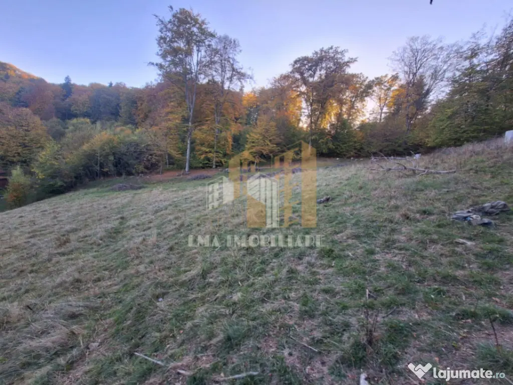 Teren de vanzare 2900 mp Brasov Strada Ciresului 