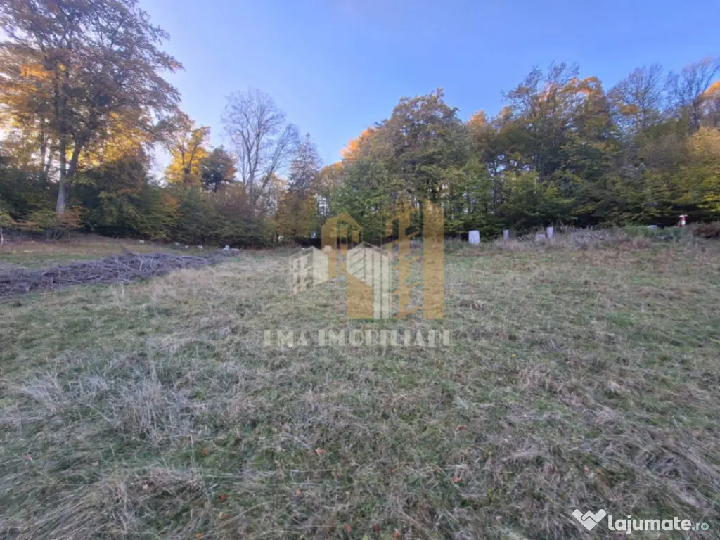 Teren de vanzare 2900 mp Brasov Strada Ciresului 