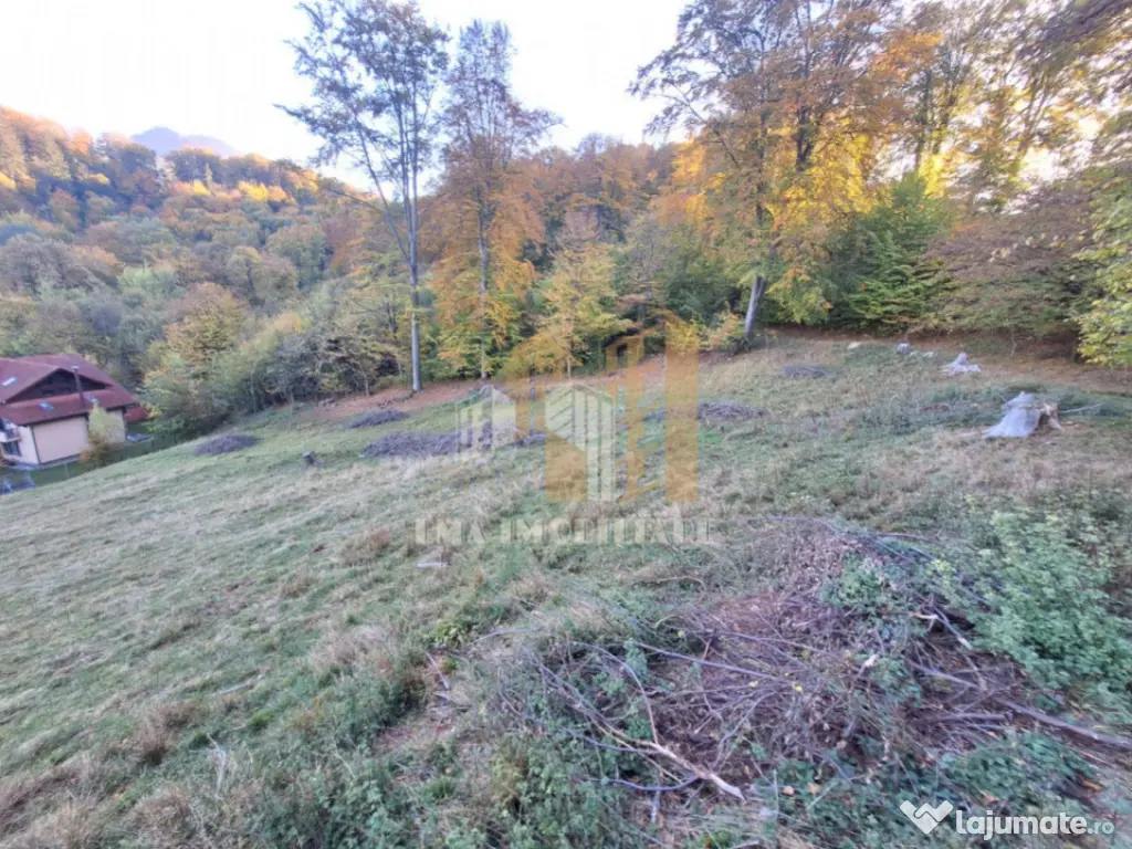 Teren intravilan Brasov Strada Ciresului 2900 mp