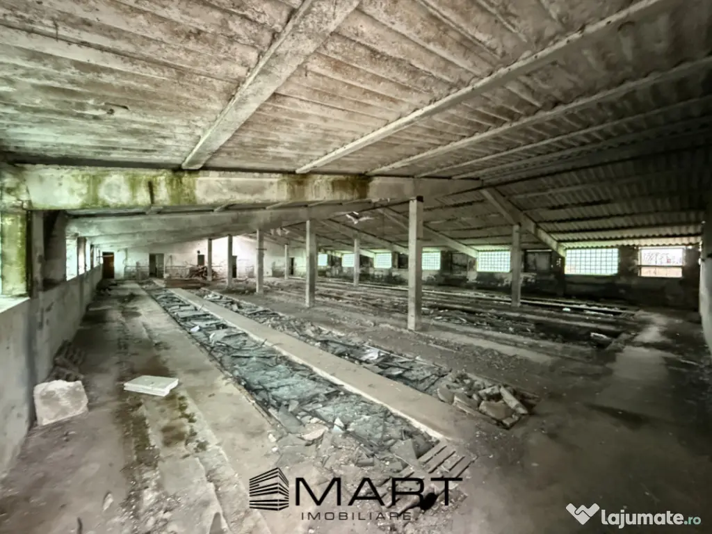 Hală industrială în Prejmer – 500 mp + curte 800 mp 