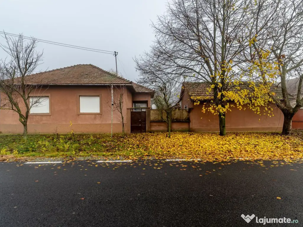 De vânzare Casă cu Grădină Generoasă in Dorobanți 