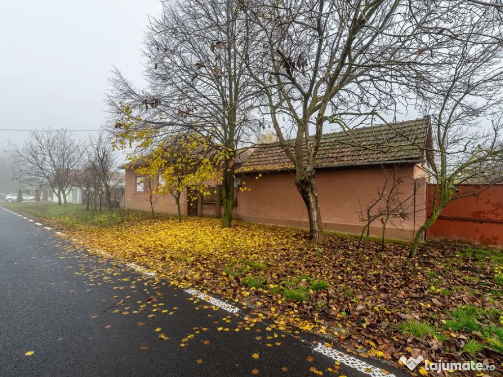 De vânzare Casă cu Grădină Generoasă in Dorobanți 