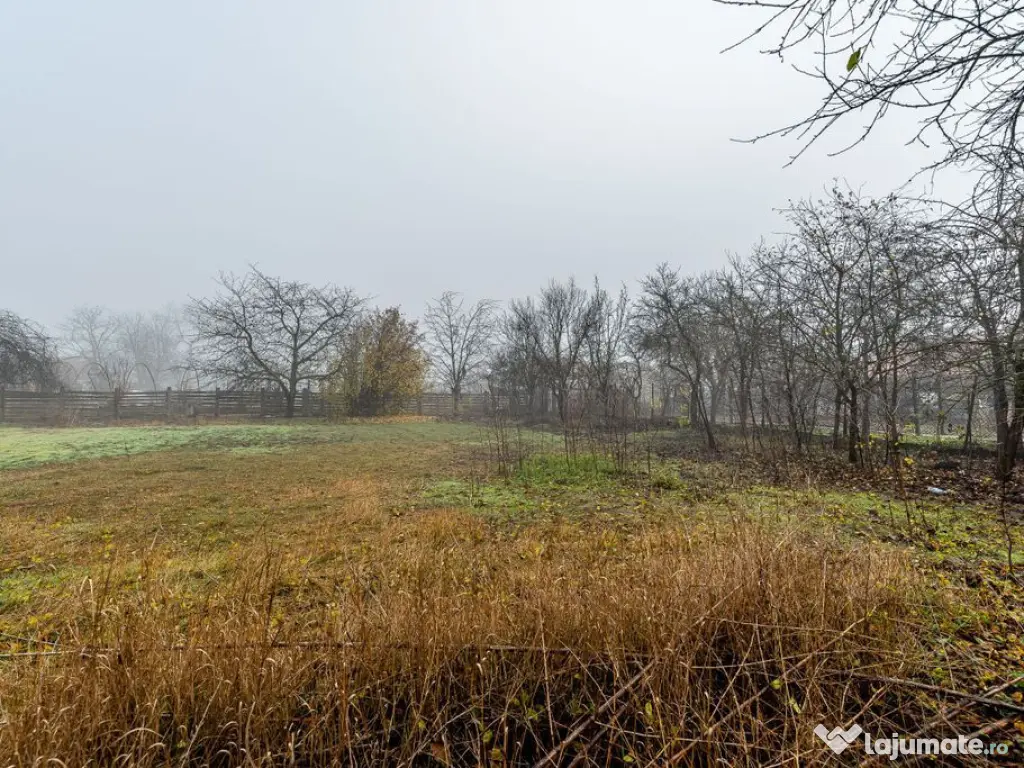 De vânzare Casă cu Grădină Generoasă in Dorobanți 