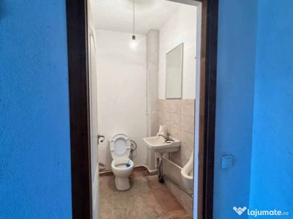 Hala de vanzare, 360 mp, zona Brestei