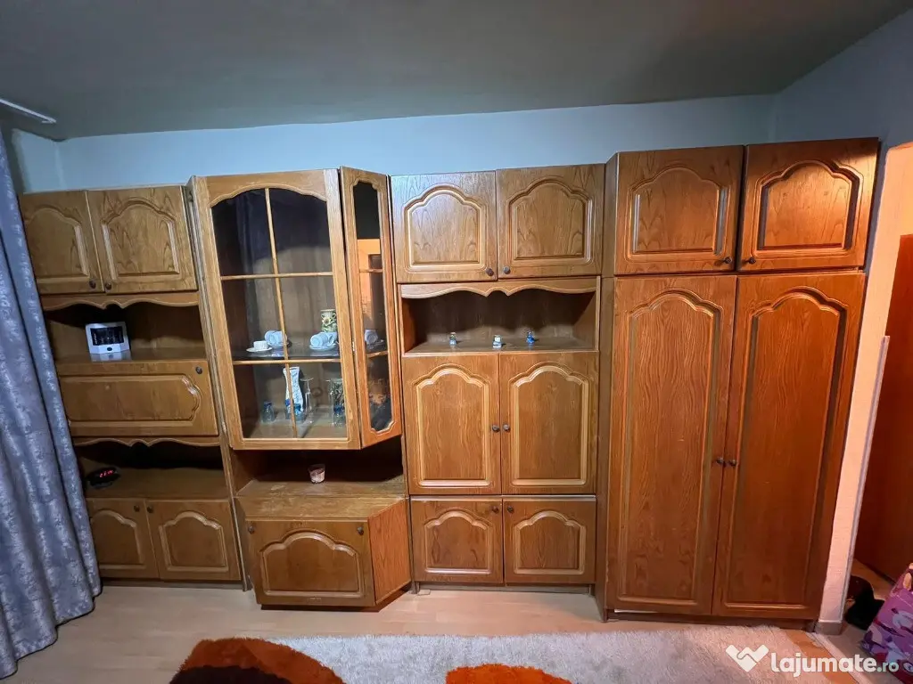 Garsoniera Manastur-zona Pta Flora 