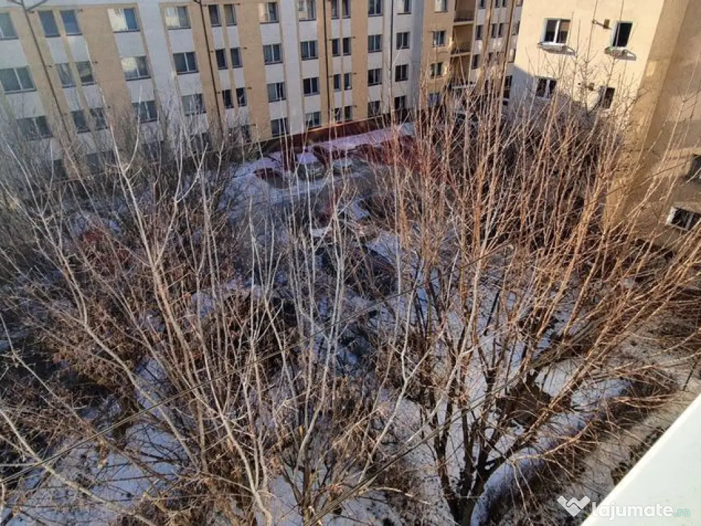 2 camere | Gemenii | Randament bun, cerere mare 