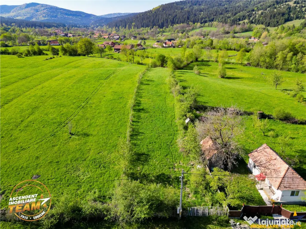 FILM! 2.063 mp de refugiu natural in localitatea Zagon, Cova