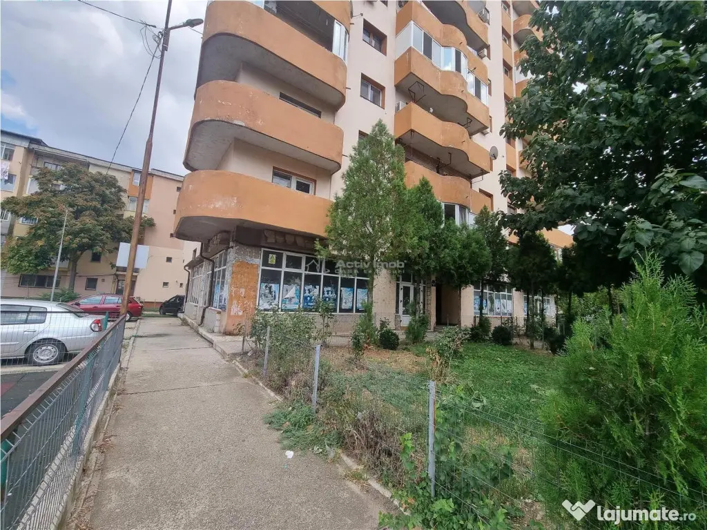 Spatii Comerciale Alexandria Str Dunarii 