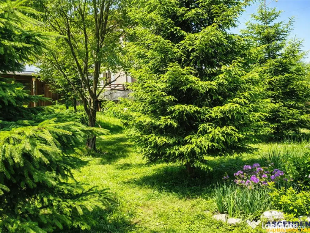 Locatie cu patru anotimpuri intr- o zi, incadrata de 2.350 t