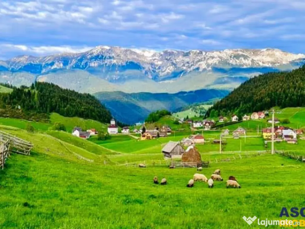 Locatie cu patru anotimpuri intr- o zi, incadrata de 2.350 t