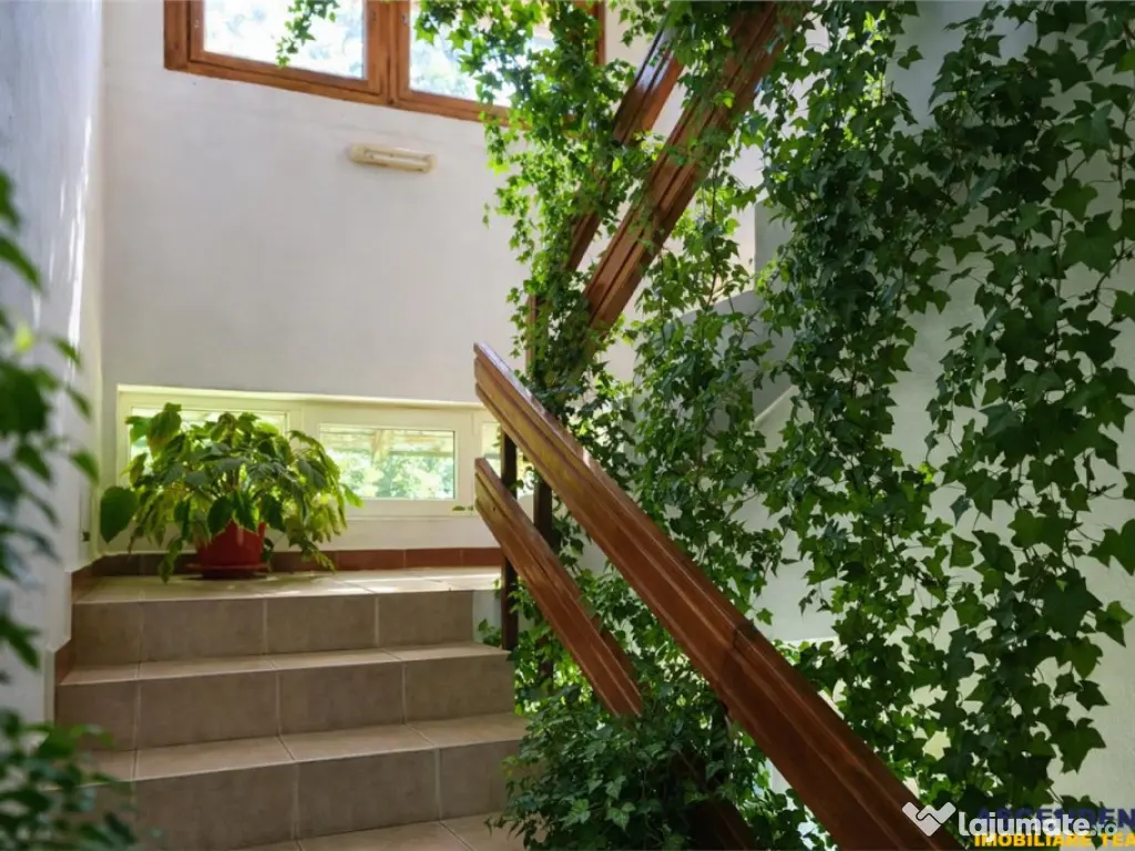 Locatie cu patru anotimpuri intr- o zi, incadrata de 2.350 t