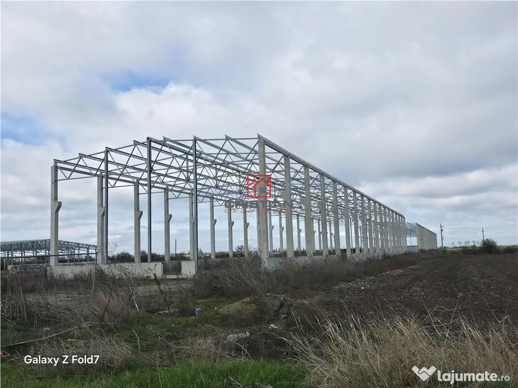 Depozit/hala/spatiu industrial Mogosoaia - Buftea 