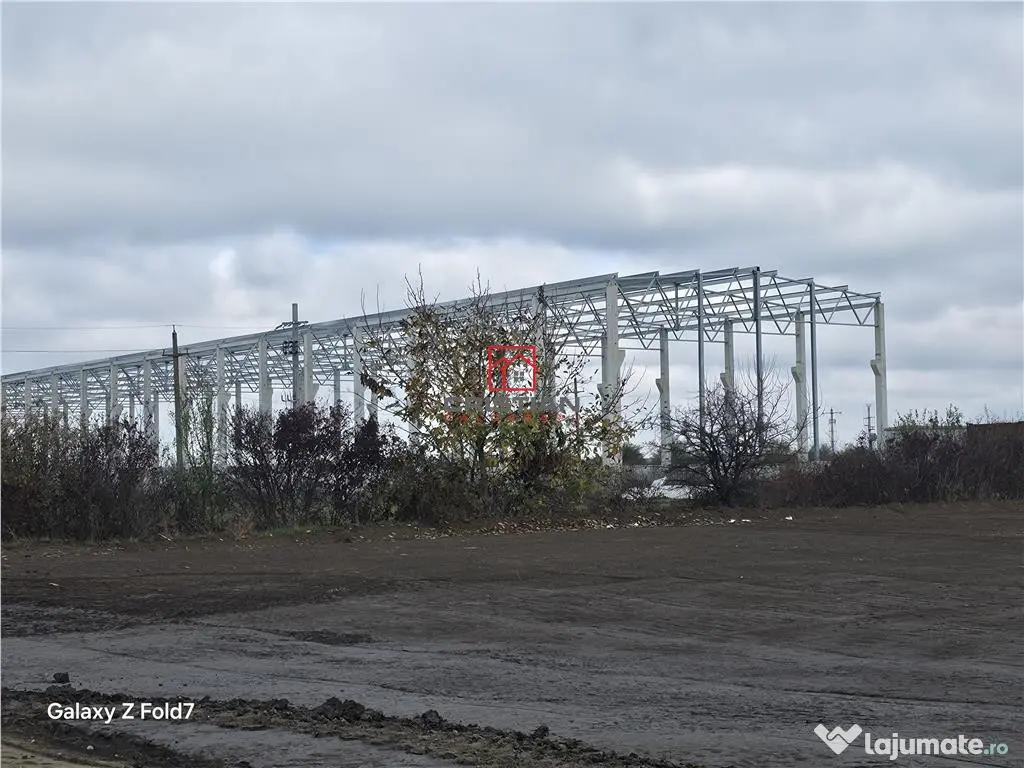 Depozit/hala/spatiu industrial Mogosoaia - Buftea 